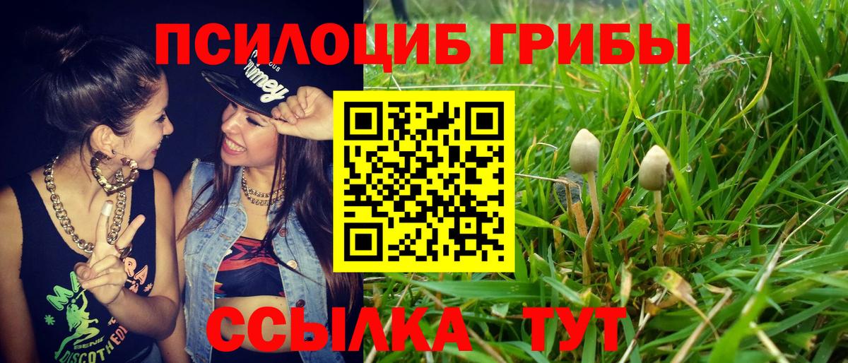 Грозный  Псилоцибиновые грибы Magic Shrooms  Псилоцибиновые грибы мицелий  Вход с VPN 