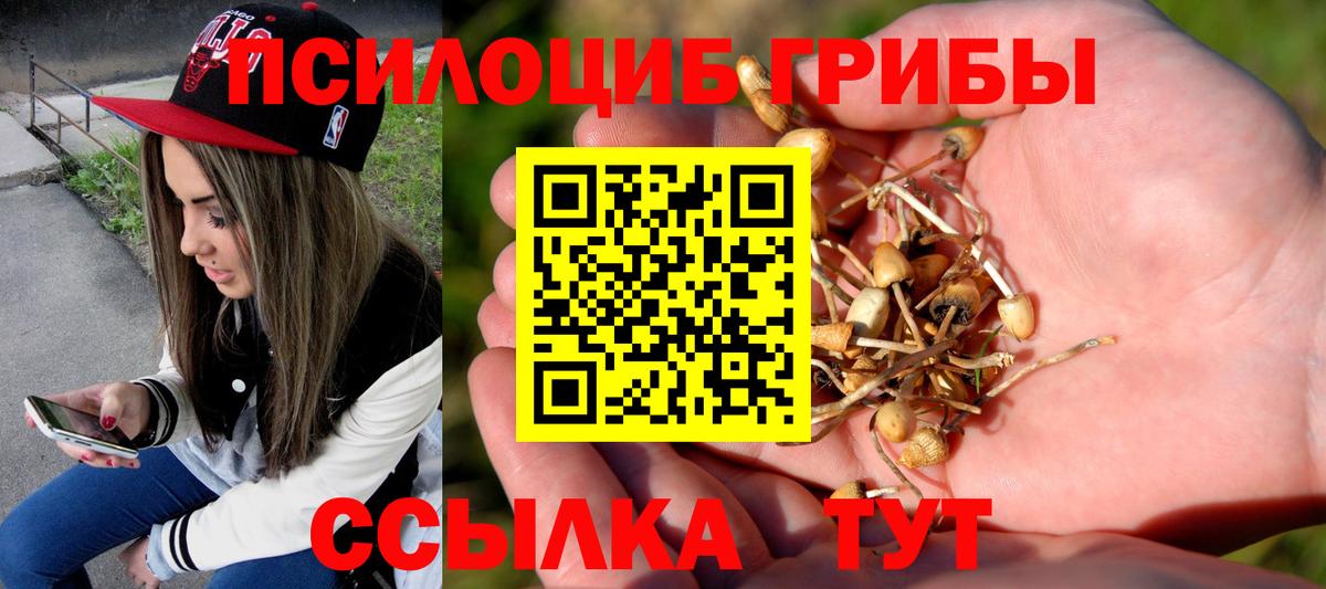 Галлюциногенные грибы GOLDEN TEACHER Грозный